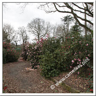 Jardin Privé - Près de Guingamp (Côtes d'Armor)