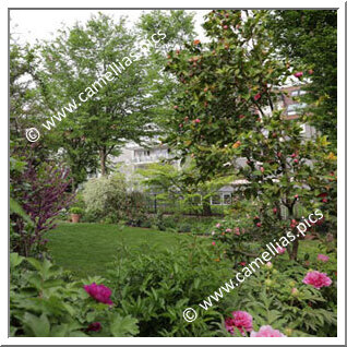 Jardin Privé - Jardin de Ville à Francfort