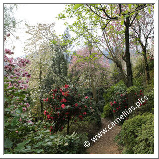 Parco Botanico del Gambarogno