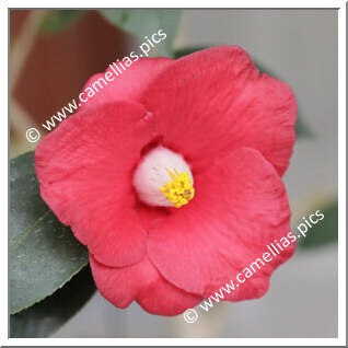 30/04/2025 - Waka-ka’ede