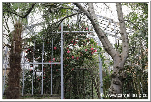 Chanel inaugure un jardin éphémère en juin à Paris