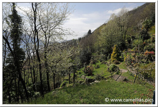 On aperçoit le petit sentier qui permet de monter tout en haut du jardin.