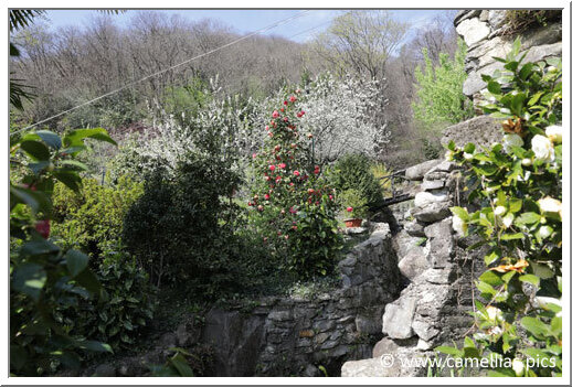 A part of the garden is arranged along the creek which crosses it.