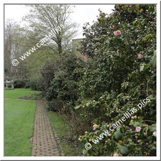 Private Garden - Near Köln