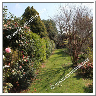 Private Garden - In the Quimper area (France)