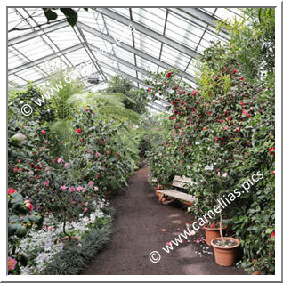 Botanischer Garten (Köln)