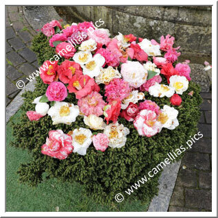 Pazo de Lourizan (Galice)