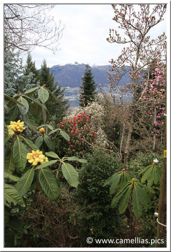 In the back, the Lago Maggiore