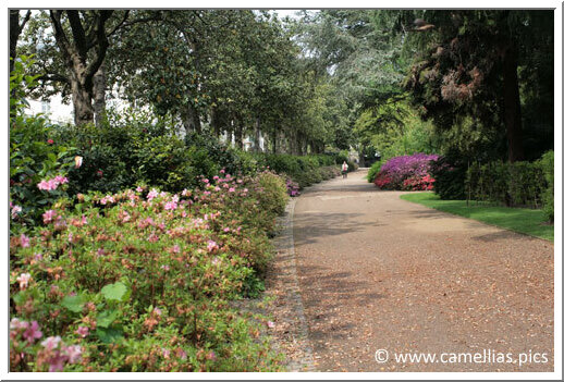 Visit - Le jardin des plantes de Nantes 