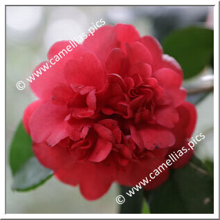'Villar d'Allen'