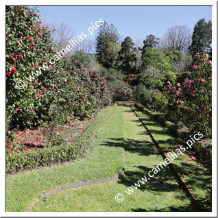 Terra Nostra Garden (Furnas, São Miguel, Azores)